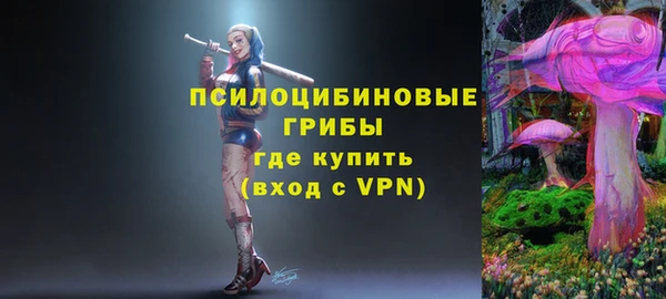 spice Верхний Тагил