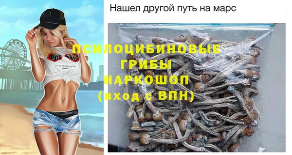 spice Верхний Тагил