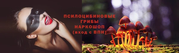 spice Верхний Тагил