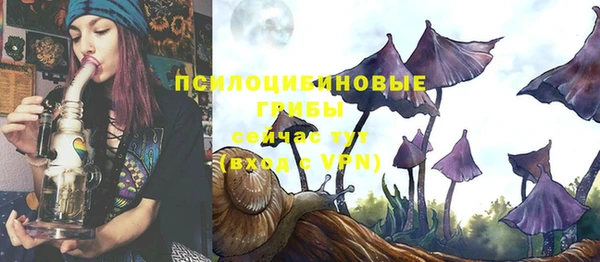 jwh Верея
