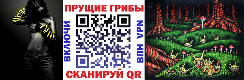 Псилоцибиновые грибы MAGIC MUSHROOMS цены наркотик Махачкала